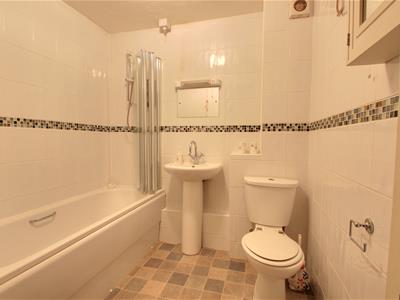 Picture 8